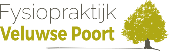 Logo Fysiopraktijk Veluwse Poort